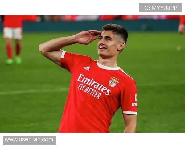 拜仁球探关注克罗地亚19岁右后卫霍达克引发媒体热议