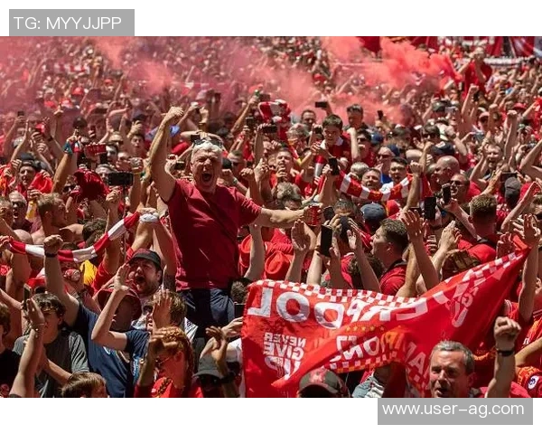 早报：标王报销法老绝杀红军球迷心情复杂难以言表